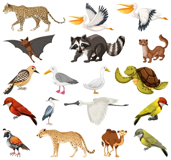 Verschillende Soorten Dieren Verzamelen Illustratie — Stockvector