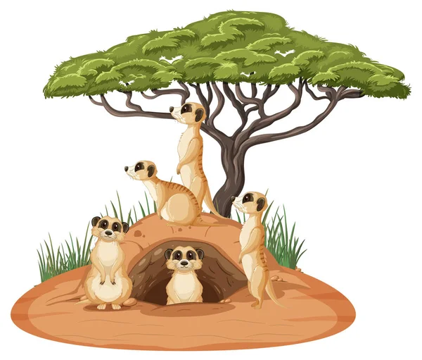 Group Meerkats Burrow Cartoon Style Illustration — Stock Vector