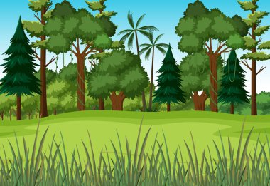 Orman illüstrasyonunda yeşil çimenli sahne