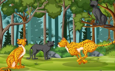 Orman sahnesinde leoparlar ve siyah panterler