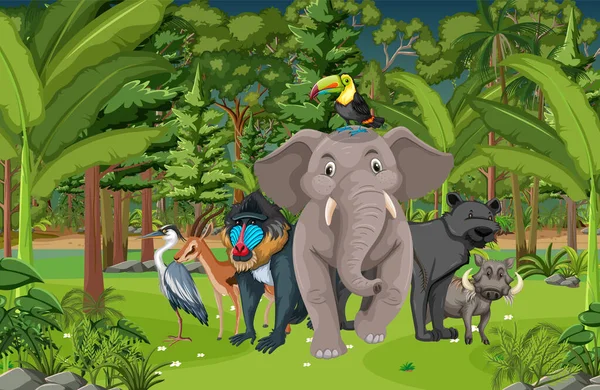 Bosque Escena Con Varios Animales Salvajes Ilustración — Archivo Imágenes Vectoriales