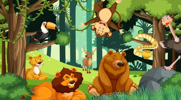 Vários Animais Ilustração Floresta —  Vetores de Stock