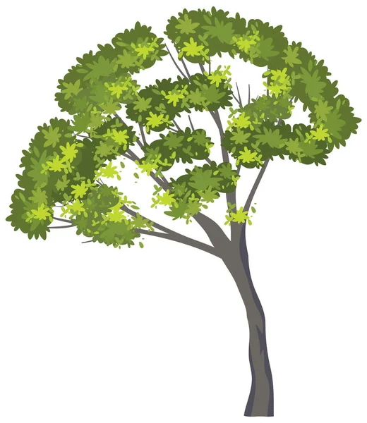 Árbol Aislado Sobre Fondo Blanco Ilustración — Vector de stock