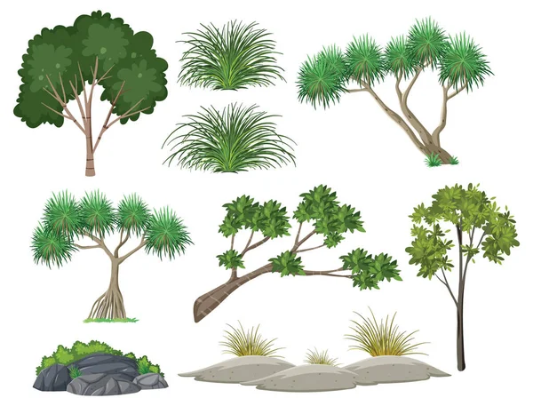 고립된 나무와 자연에서 수있는 물체들 — 스톡 벡터