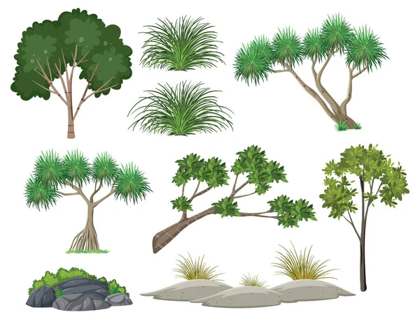 Alberi Isolati Oggetti Naturali Set Illustrazione — Vettoriale Stock