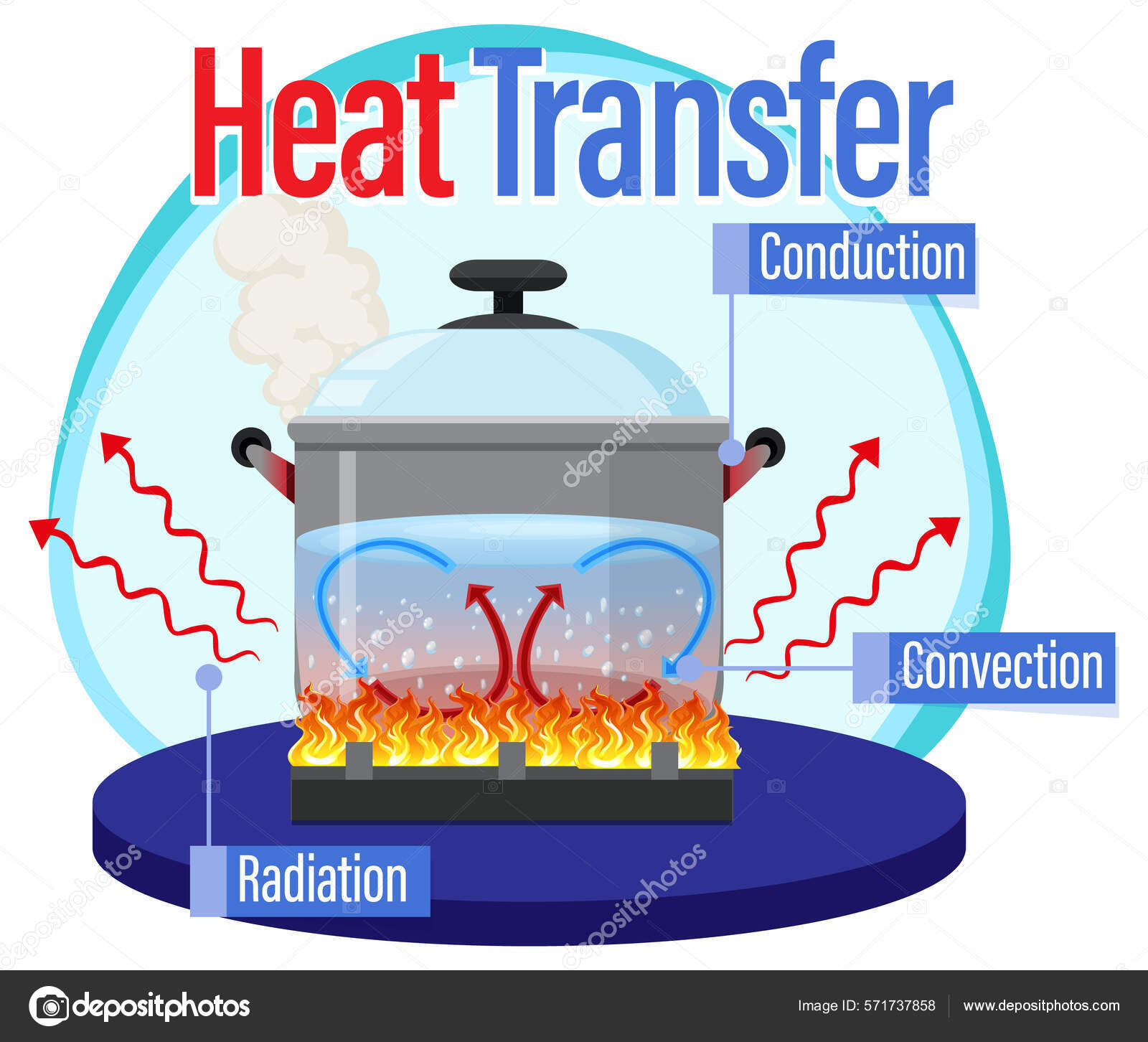 Heat Transfer Methods Water Boiling Illustration Stock Vector Image by