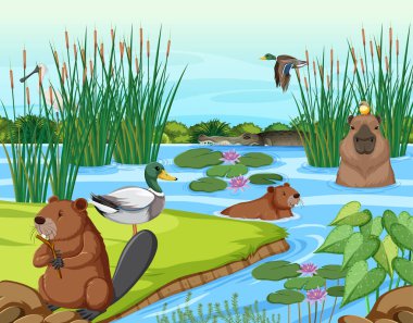 Orman illüstrasyonunda çeşitli hayvanlar