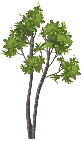 Isolierte Baum Auf Weißem Hintergrund Illustration — Stockvektor