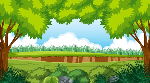Ilustração Fundo Ambiente Florestal Vazio — Vetor de Stock