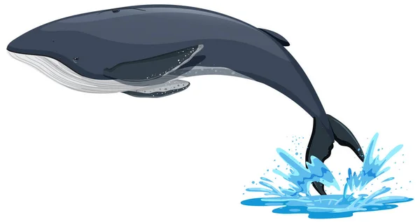 Humpback Velryba Karikatura Bílém Pozadí Ilustrace — Stockový vektor