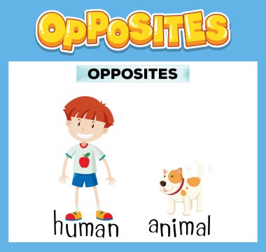 İnsan ve hayvan örnekleriyle karşıt İngilizce kelimeler