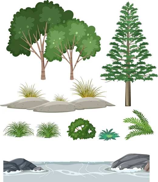 Izolowane Drzewa Obiekty Przyrody Zestaw Ilustracji — Wektor stockowy
