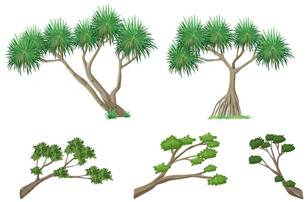 Illustration Ensemble Des Éléments Forestiers Naturels — Image vectorielle