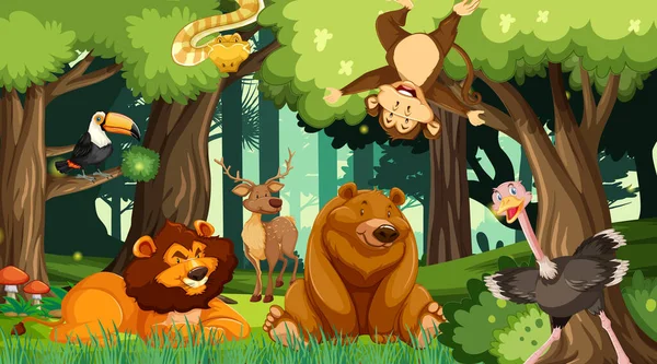 Verschiedene Tiere Wald Illustration — Stockvektor