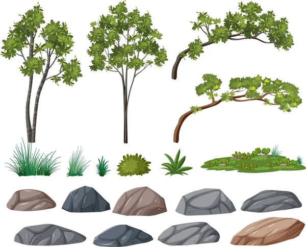 Izolowane Drzewa Obiekty Przyrody Zestaw Ilustracji — Wektor stockowy