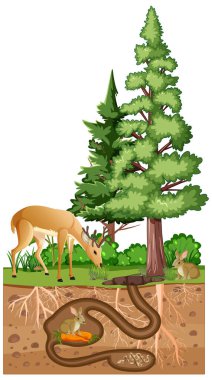 Çizgi film tarzında bir yeraltı hayvan deliği