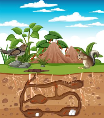 Çizgi film tarzında bir yeraltı hayvan deliği