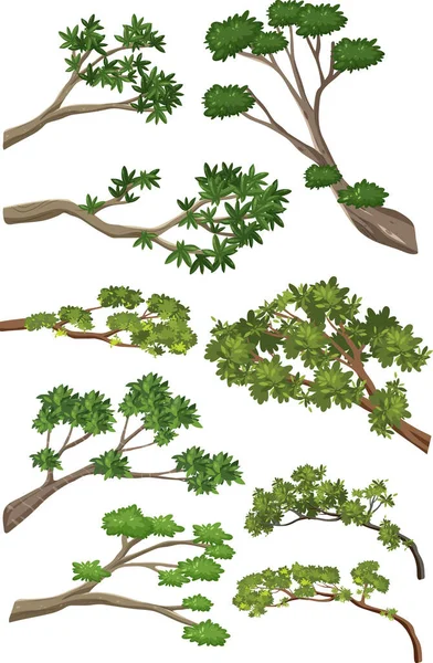 Branches Arbres Isolées Sur Fond Blanc Illustration — Image vectorielle