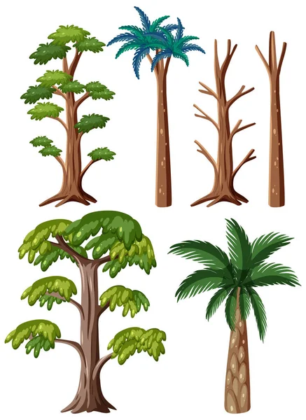 Σύνολο Διαφορετικών Προϊστορικών Δέντρων Εικονογράφηση — Διανυσματικό Αρχείο