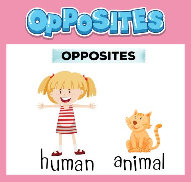 Çocuk resimlemesi için karşıt İngilizce kelimeler
