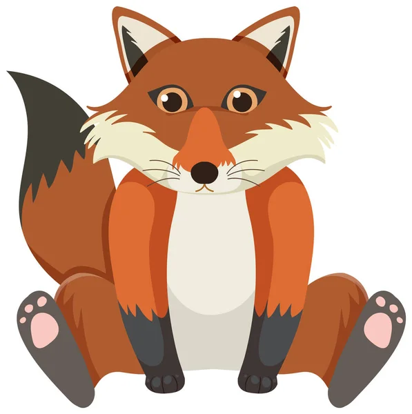 Cute Fox Flat Style Isolated Illustration — Stock Vector