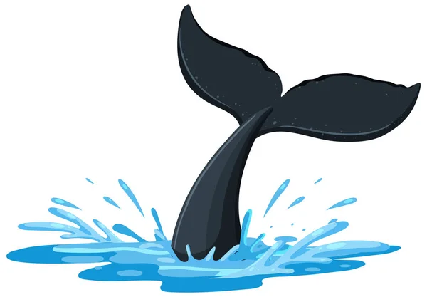 Ein Schwanz Eines Buckelwals Über Dem Wasser Illustration — Stockvektor