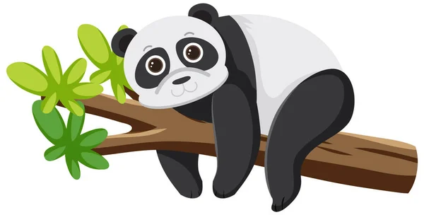 Panda Beer Liggend Boom Illustratie — Stockvector