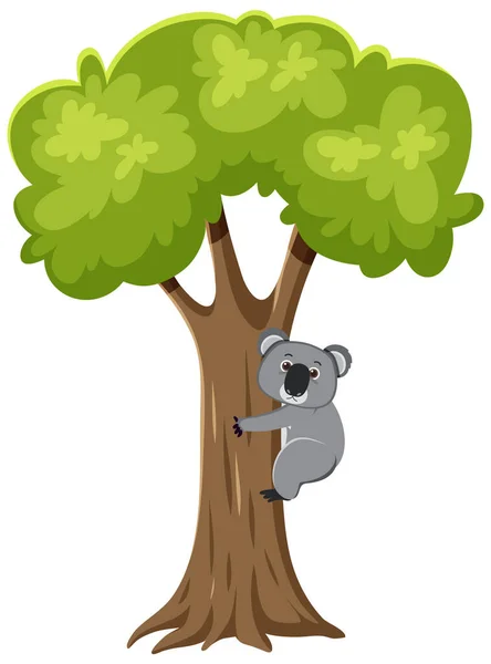 Koala Sur Arbre Illustration Personnage Dessin Animé — Image vectorielle