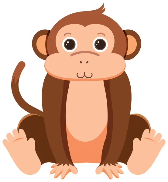 Düz Çizimde Şirin Maymun — Stok Vektör