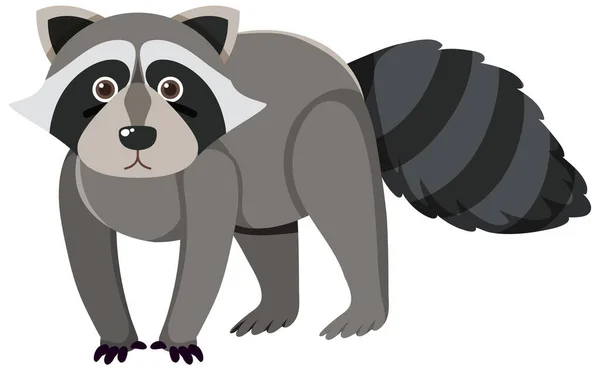平面卡通画中可爱的浣熊 — 图库矢量图片