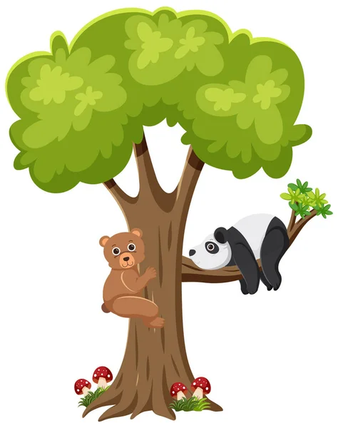Beer Panda Atree Illustratie — Stockvector