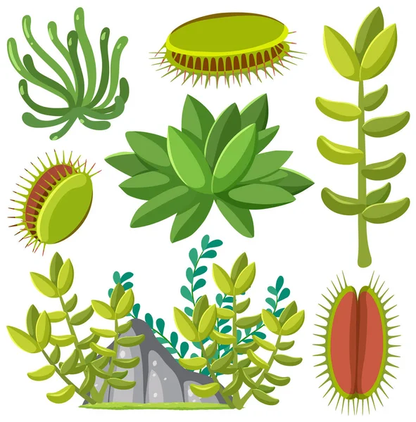 Diversas Plantas Ilustración Patrón Sin Costura — Vector de stock