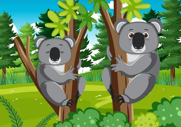 Koalas Skogen Bakgrund Illustration — Stock vektor
