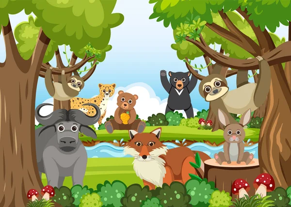 Bonitos Animais Selvagens Ilustração Floresta —  Vetores de Stock