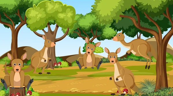 Kangaroos Forest Scene Illustration — Stock vektor