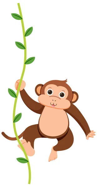 Mono Colgando Liana Ilustración — Vector de stock