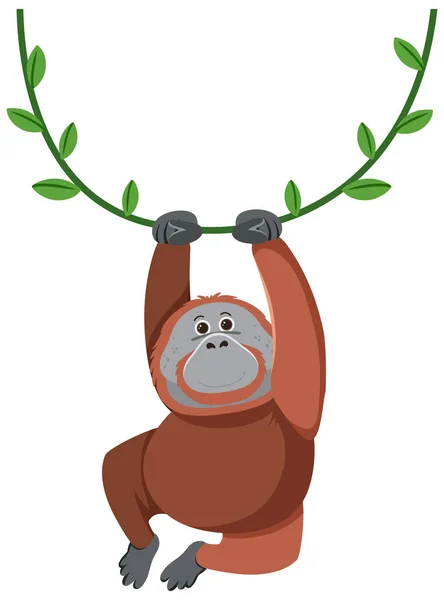 Orangutan挂在里拉图上 — 图库矢量图片