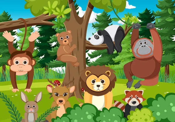Animales Salvajes Lindos Ilustración Del Bosque — Vector de stock