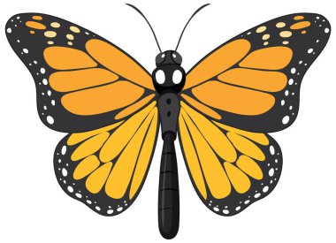 Kral kelebeği beyaz arkaplanda izole edilmiş.