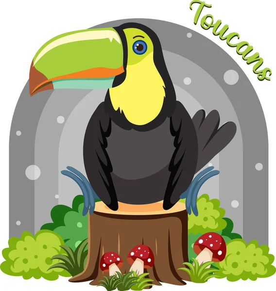 Toucan Madár Rajzfilm Stílusú Illusztráció — Stock Vector