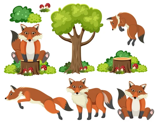 Dzikie Zwierzęta Elementami Przyrody Ilustracja — Wektor stockowy