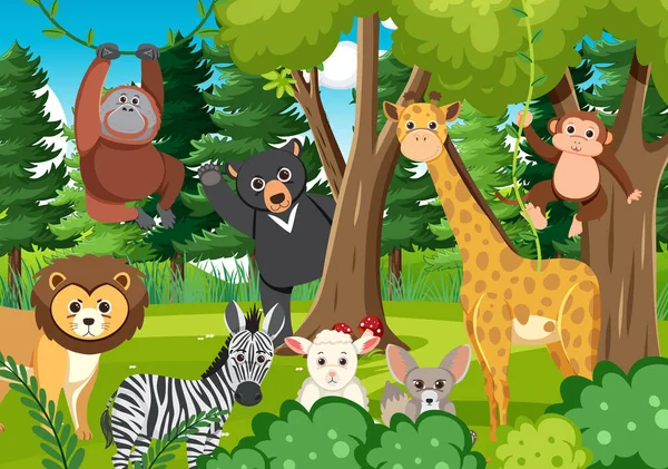 Roztomilá Divoká Zvířata Lese Ilustrace — Stockový vektor
