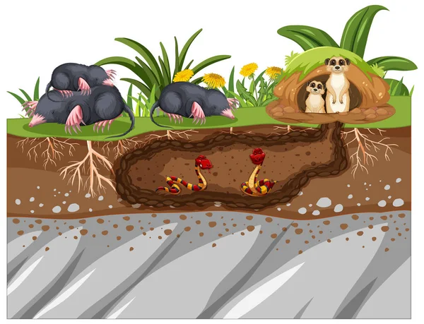 卡通风格插图中的地底动物洞 — 图库矢量图片