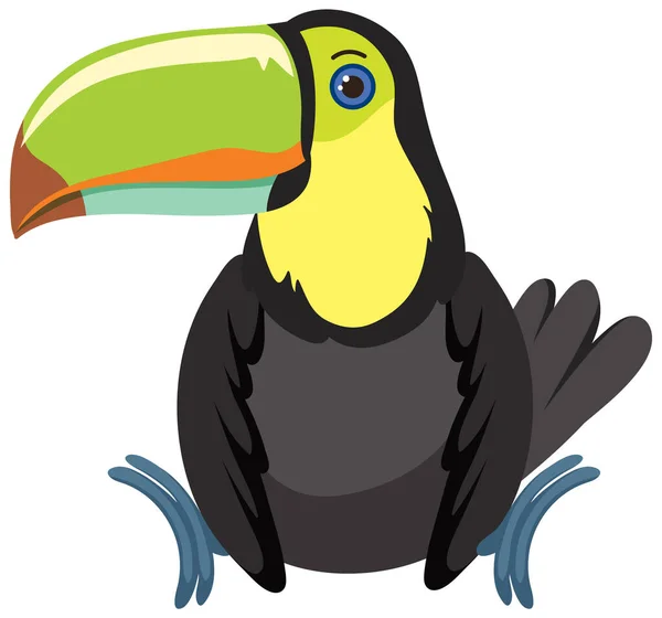 Aranyos Toucan Lapos Stílusú Elszigetelt Illusztráció — Stock Vector