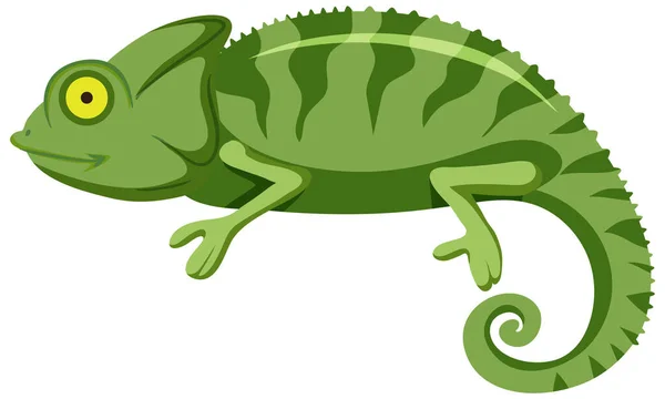 Chameleon in flat cartoon style illustration