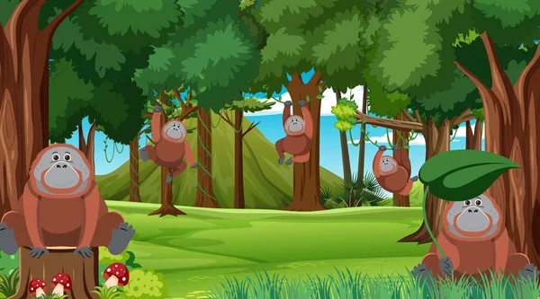 Orangutanes Escena Forestal Ilustración — Vector de stock