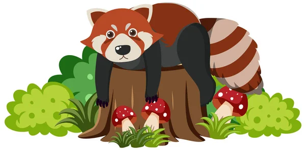 平面漫画风格插图中可爱的红浣熊 — 图库矢量图片