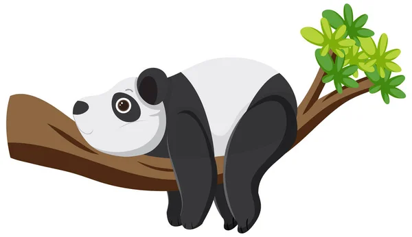 Panda Beer Liggend Boom Illustratie — Stockvector