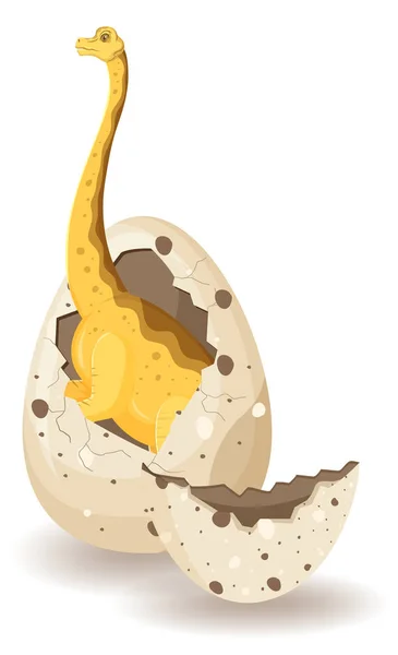 Brachiosaurus Hatching Egg Illustration — Stock Vector