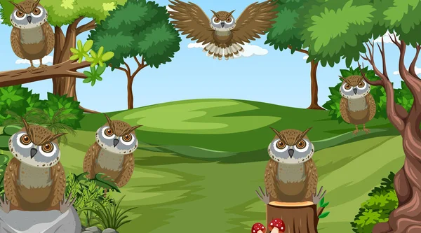 Owl Birds Forest Scene Illustration — Stock Vector